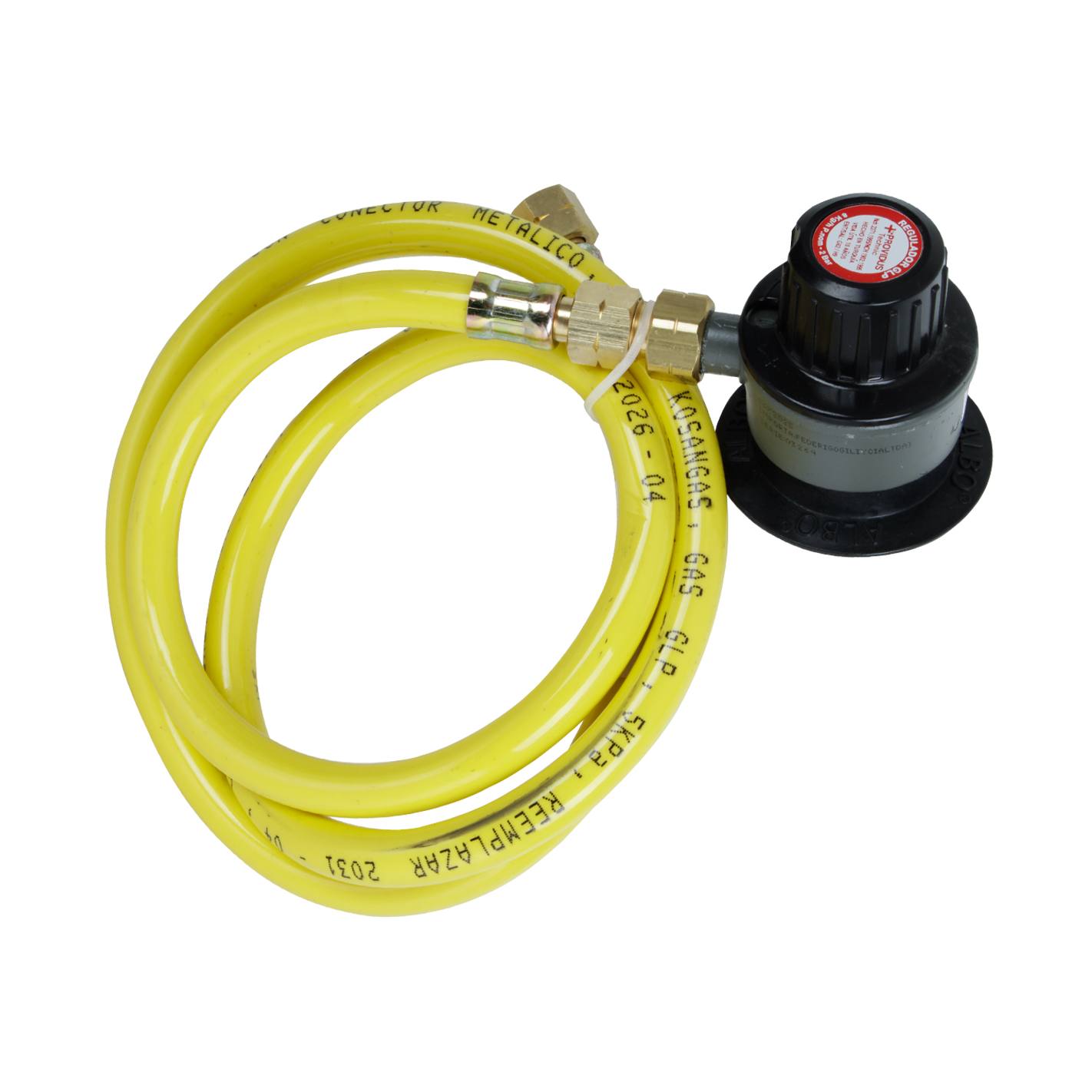 Turbo Calefactor a Gas Licuado 7-17 kw - Everest (Incluye Regulador y Manguera)